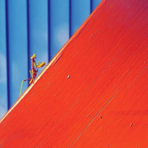 Bent at the Hinge