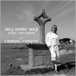 Hey Bowie Boy! (Celtic EDM Remix)