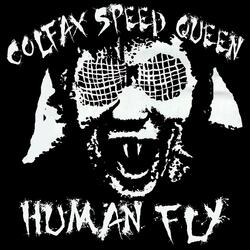 Human Fly