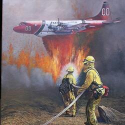 Cal Fire to the Rescue