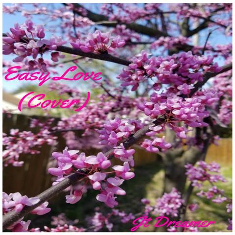 Easy Love
