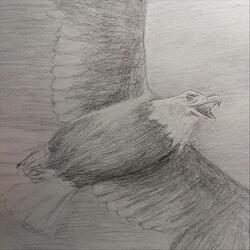 We Celebrate an Empty Tomb