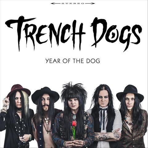 Year of the Dog