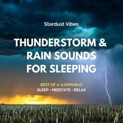Relax with Thunder and Rain Sounds in the Park