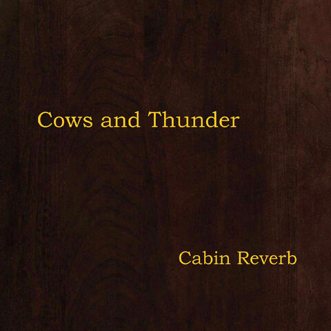 Cabin Reverb