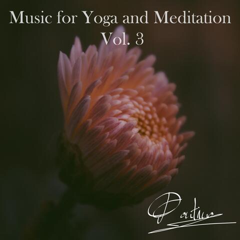 Music for Yoga and Meditation, Vol. 3