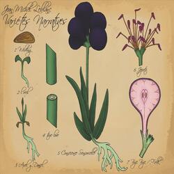 Conscience Sensorielle