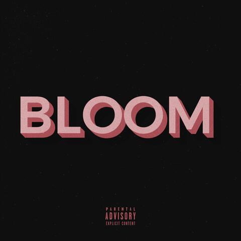 Bloom
