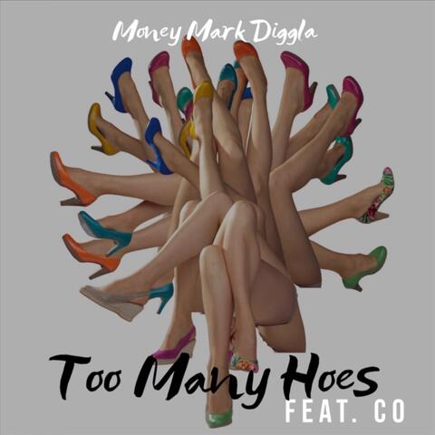 Too Many Hoes (feat. C O)