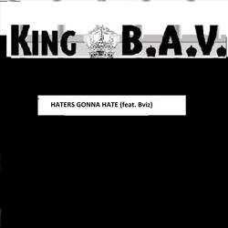 Haters Gonna Hate (feat. B-Viz)