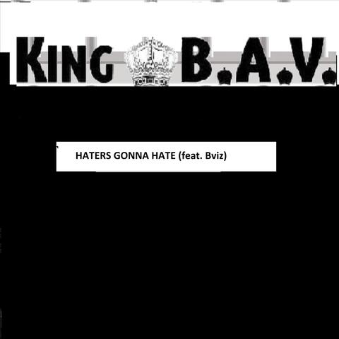 Haters Gonna Hate (feat. B-Viz)