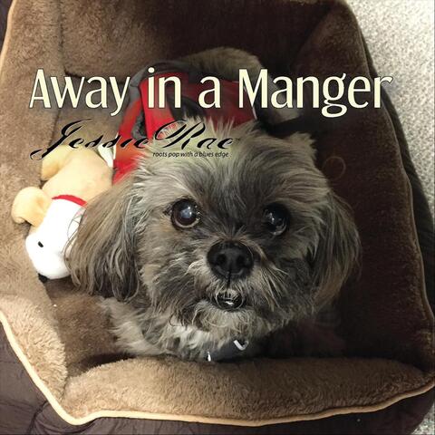 Away in a Manger