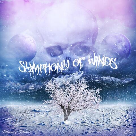 Symphony of Winds (Demo)