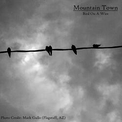 Bird on a Wire