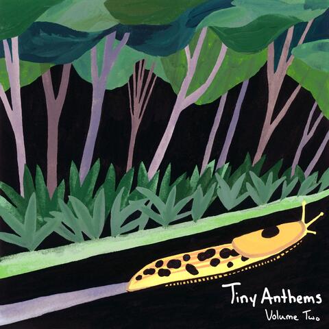 Tiny Anthems, Vol. 2