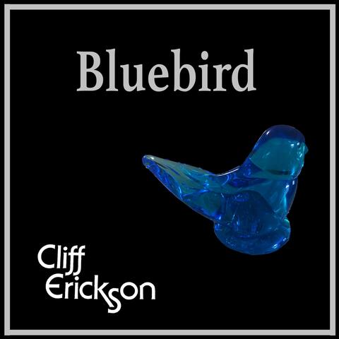 Bluebird