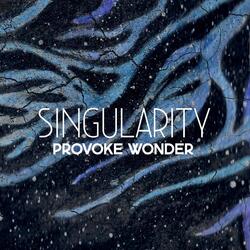 Singularity