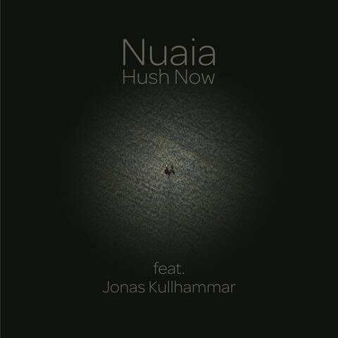 Hush Now (feat. Jonas Kullhammar)