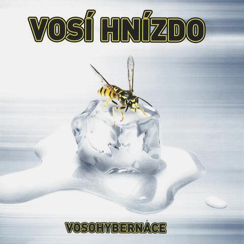 Vosohybernace
