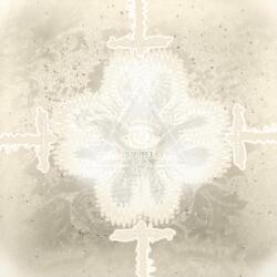 Illusory Truth Effect (Stripped Chips Remix)