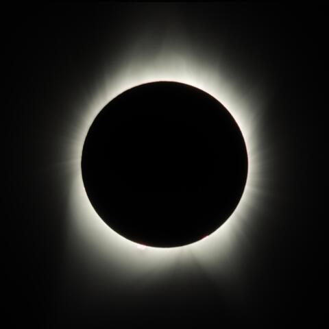 Silver Eclipse
