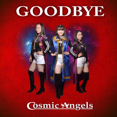 Goodbye