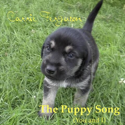 The Puppy Song (You and I)