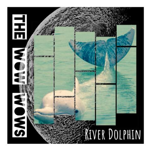 River Dolphin