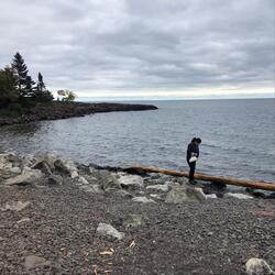 All Alone and Lonely