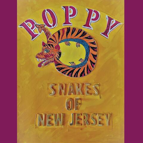 Snakes of New Jersey