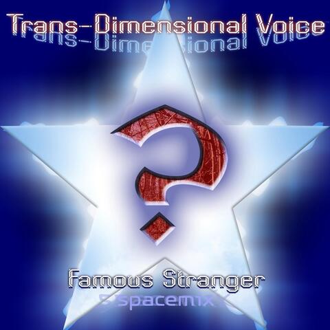 Famous Stranger (Spacemix)