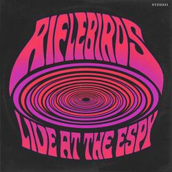 Bat Shit Crazy (Live)