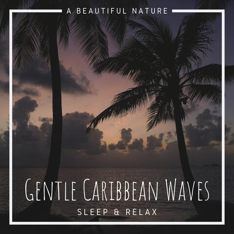 Gentle Caribbean Waves: Sleep & Relax
