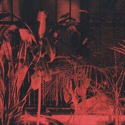 Evil Twin (feat. Menor Carvalho)