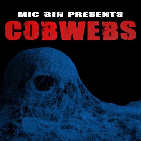 Cobwebs