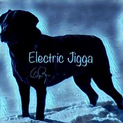 Electric Jigga