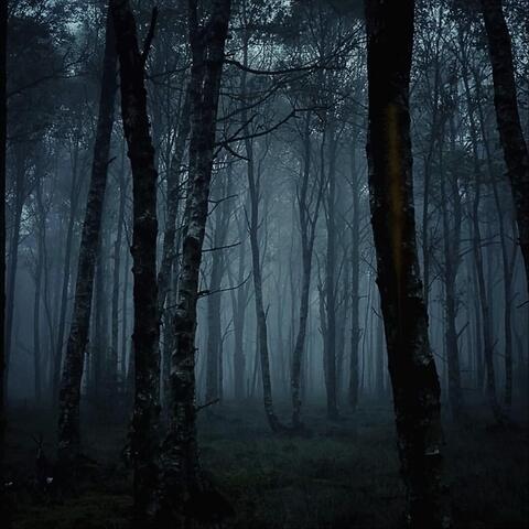 Vanished