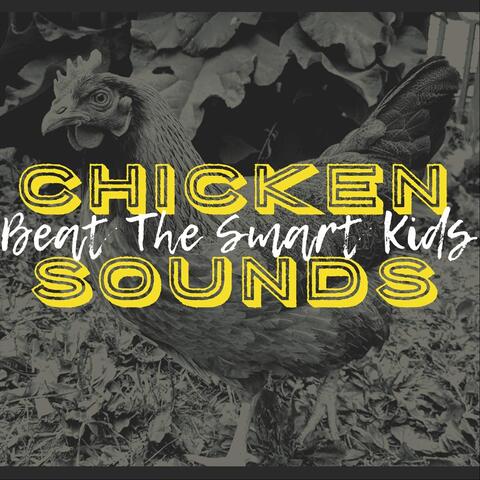 Chicken Sounds