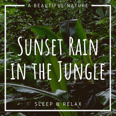 Sunset Rain in the Jungle: Sleep & Relax