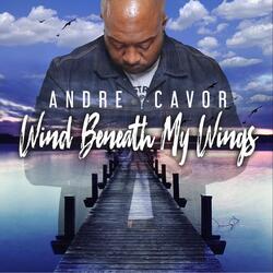 Wind Beneath My Wings
