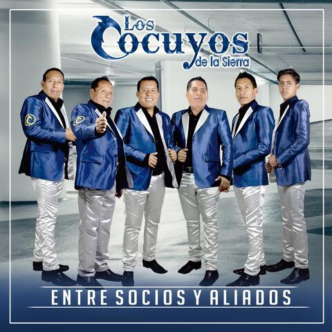 Entre Socios y Aliados