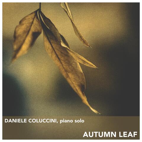 Autumn Leaf
