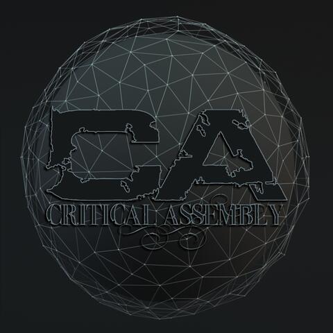 Critical Assembly