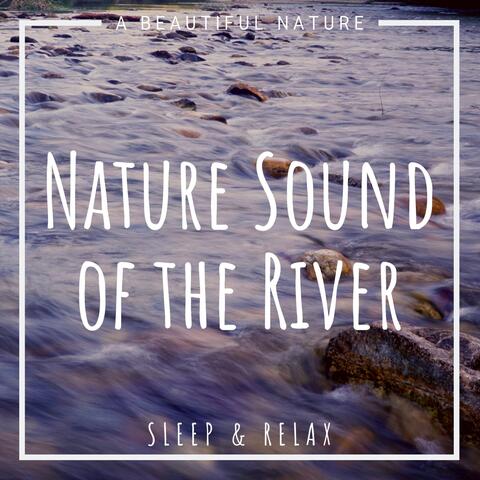 Nature Sound of the River: Sleep & Relax