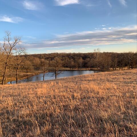 Missouri: For Me and for You