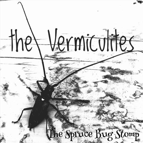 The Spruce Bug Stomp