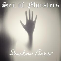 Shadow Boxer