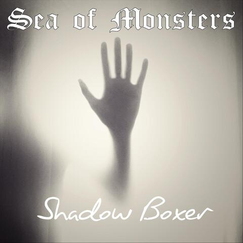 Shadow Boxer