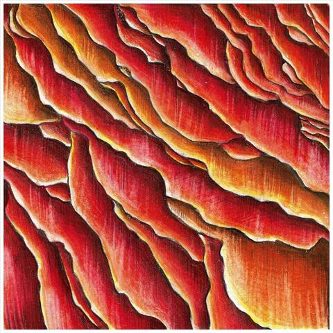 Holocene