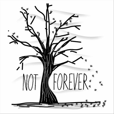 Not Forever